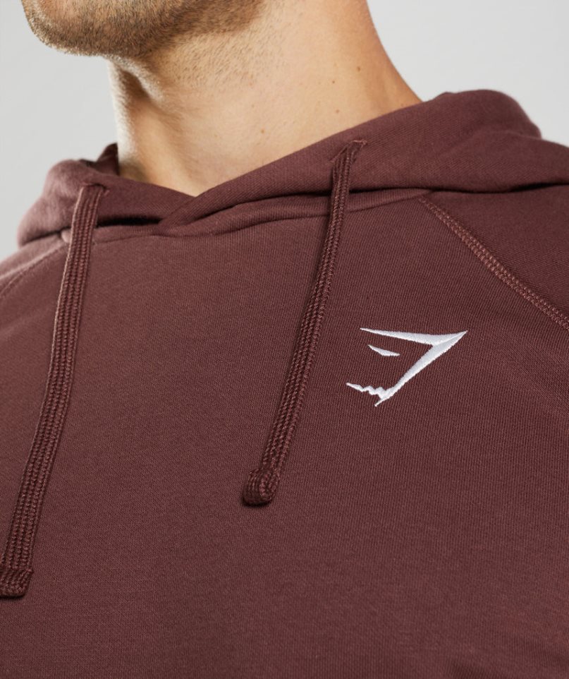 Bluzy Z Kapturem Gymshark Crest Męskie Brązowe | PL 413HIN